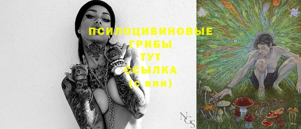 дмт Арсеньев